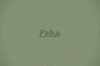 Echo animation motion designer