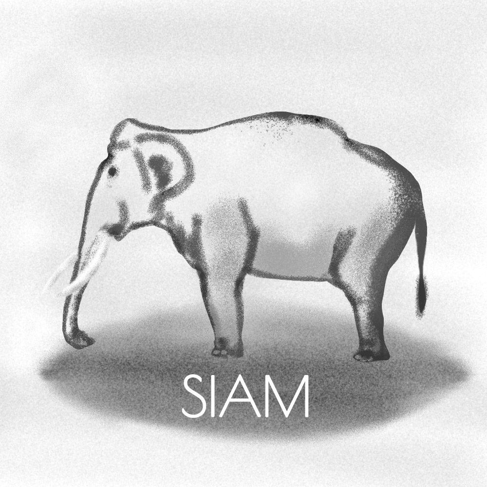 Dessin éléphant asie Siam aérographe Photoshop