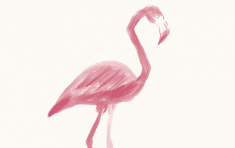 Illustration peinture digitale dessin animalier flamant rose