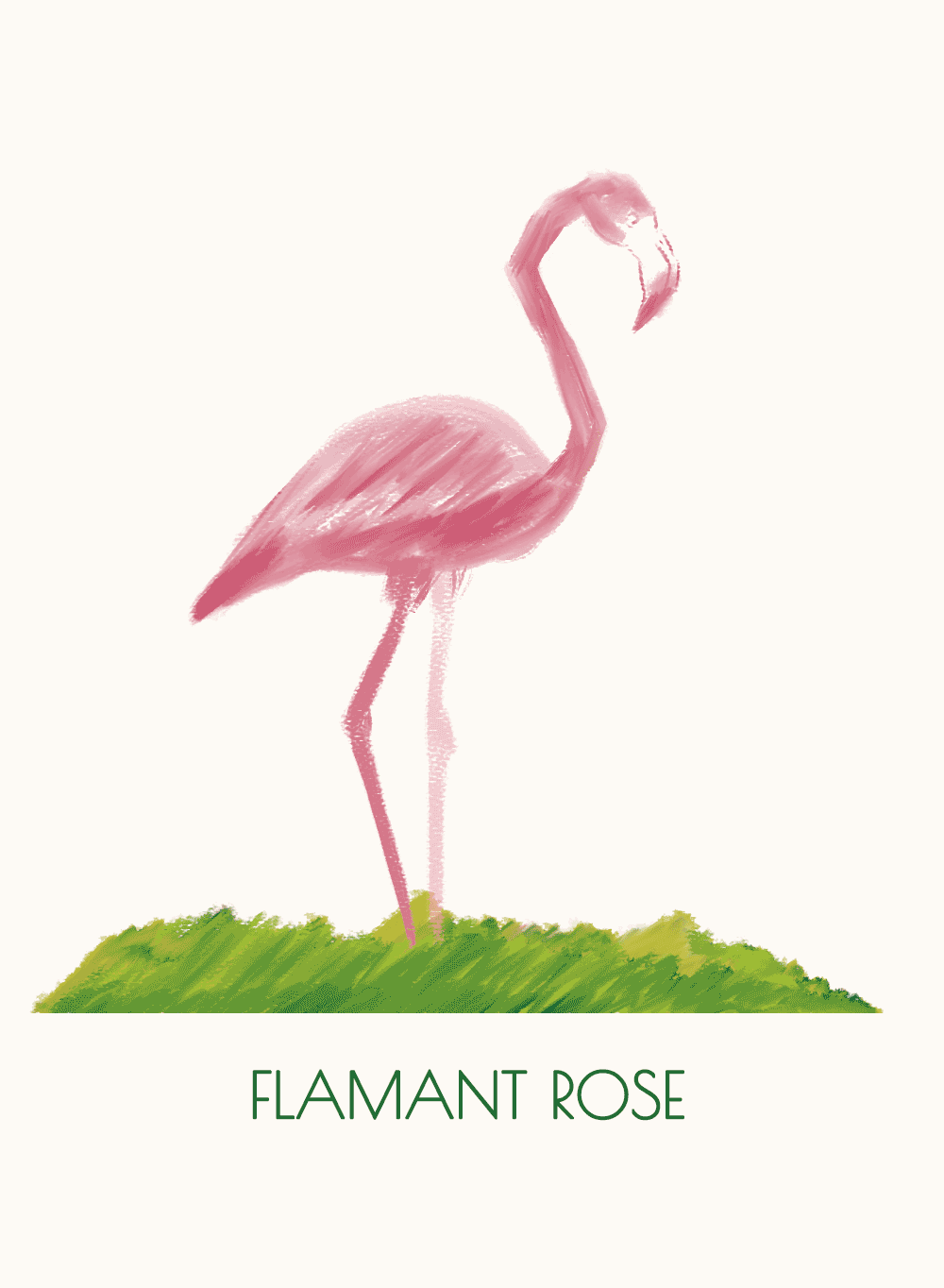 Illustration peinture digitale dessin animalier flamant rose
